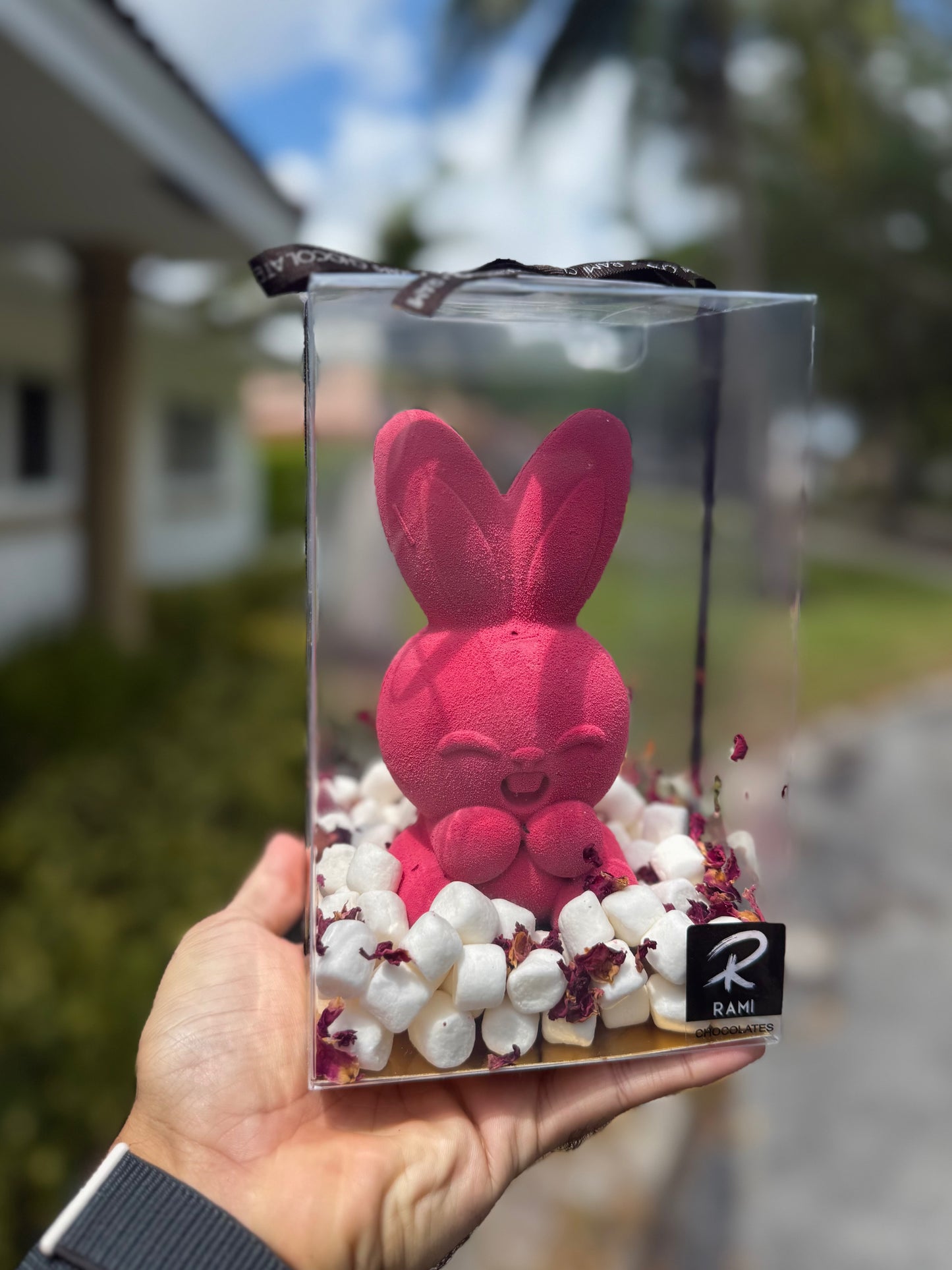 Chocolate Easter Bunny