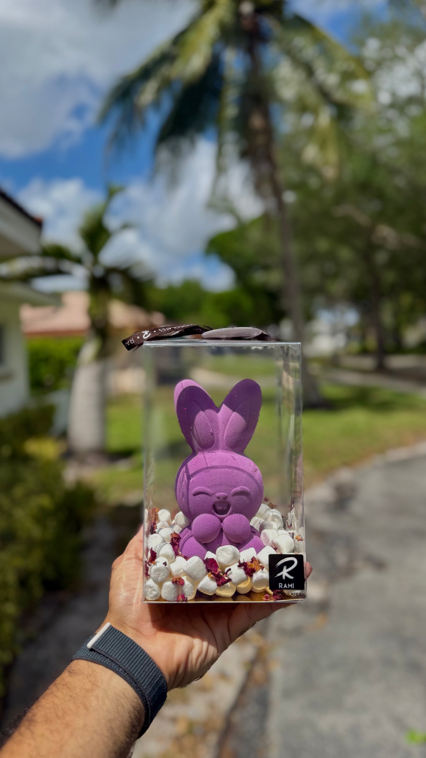 Chocolate Easter Bunny