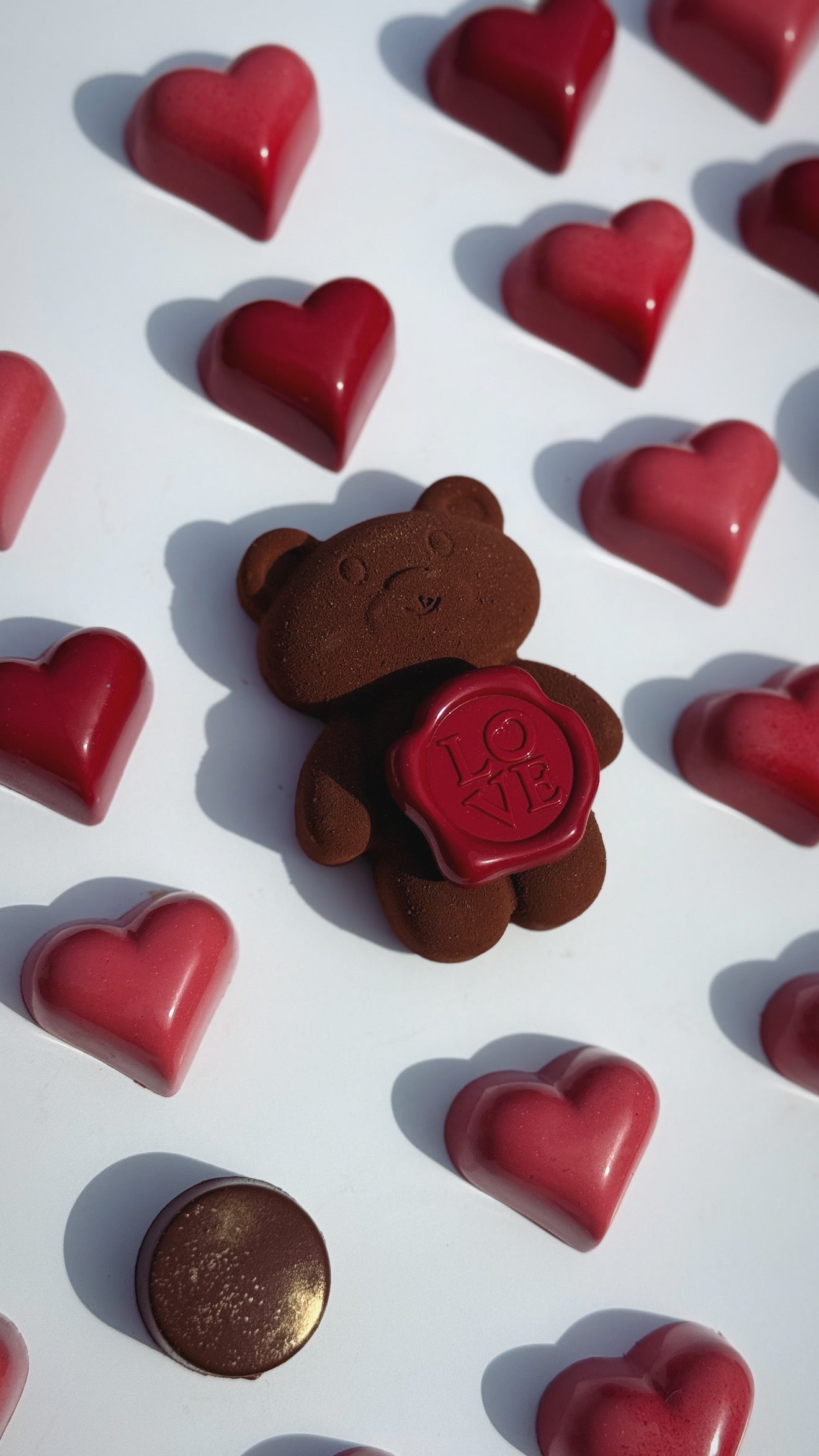 Teddy Bear Chocolate